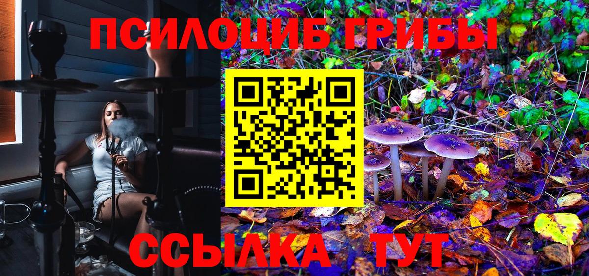 Минусинск  Псилоцибиновые грибы Magic Shrooms  Вход с VPN  Галлюциногенные грибы Cubensis 