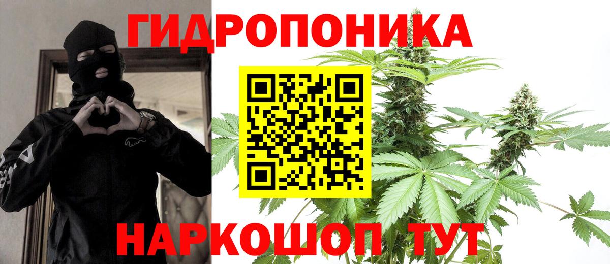 Марихуана план  МАРИХУАНА OG Kush  Минусинск  Вход с VPN  Каннабис Amnesia  Конопля Ganja 